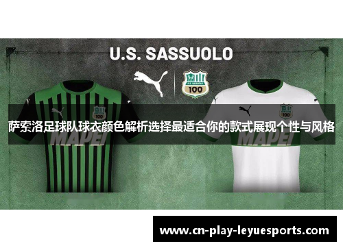 萨索洛足球队球衣颜色解析选择最适合你的款式展现个性与风格