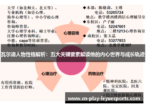 瓦尔迪人物性格解析：五大关键要素解读他的内心世界与成长轨迹